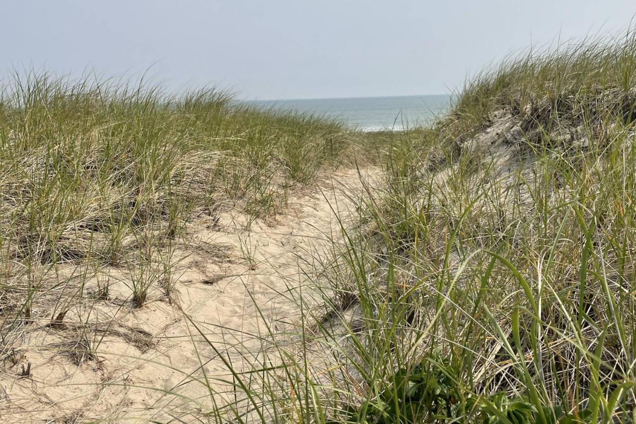 Sandy Clydesdale: Sagamore Beach Sandwichヴィラ エクステリア 写真