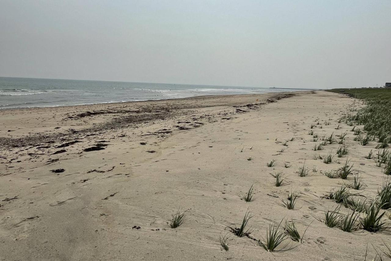 Sandy Clydesdale: Sagamore Beach Sandwichヴィラ エクステリア 写真