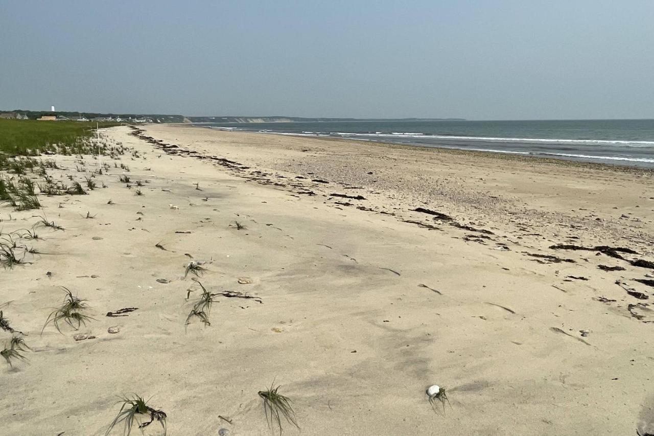 Sandy Clydesdale: Sagamore Beach Sandwichヴィラ エクステリア 写真