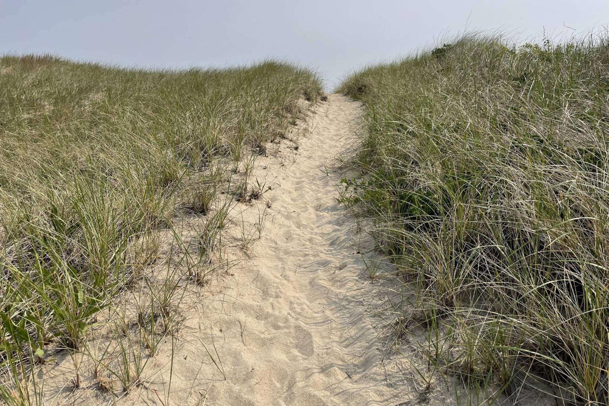 Sandy Clydesdale: Sagamore Beach Sandwichヴィラ エクステリア 写真